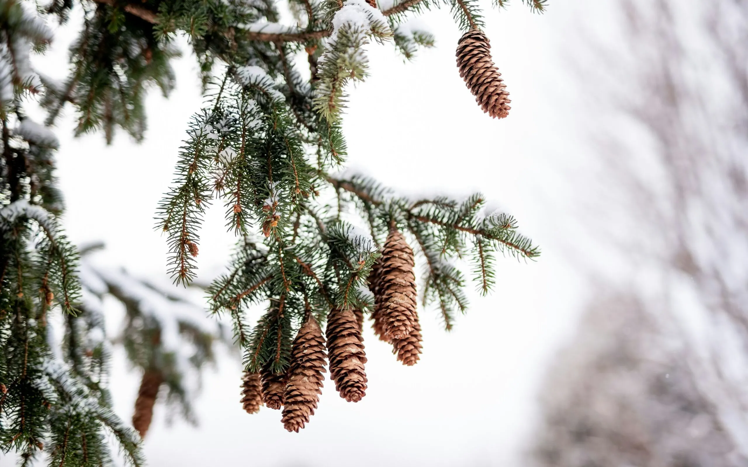 Laura adai Wrsx R7v74 Hc unsplash