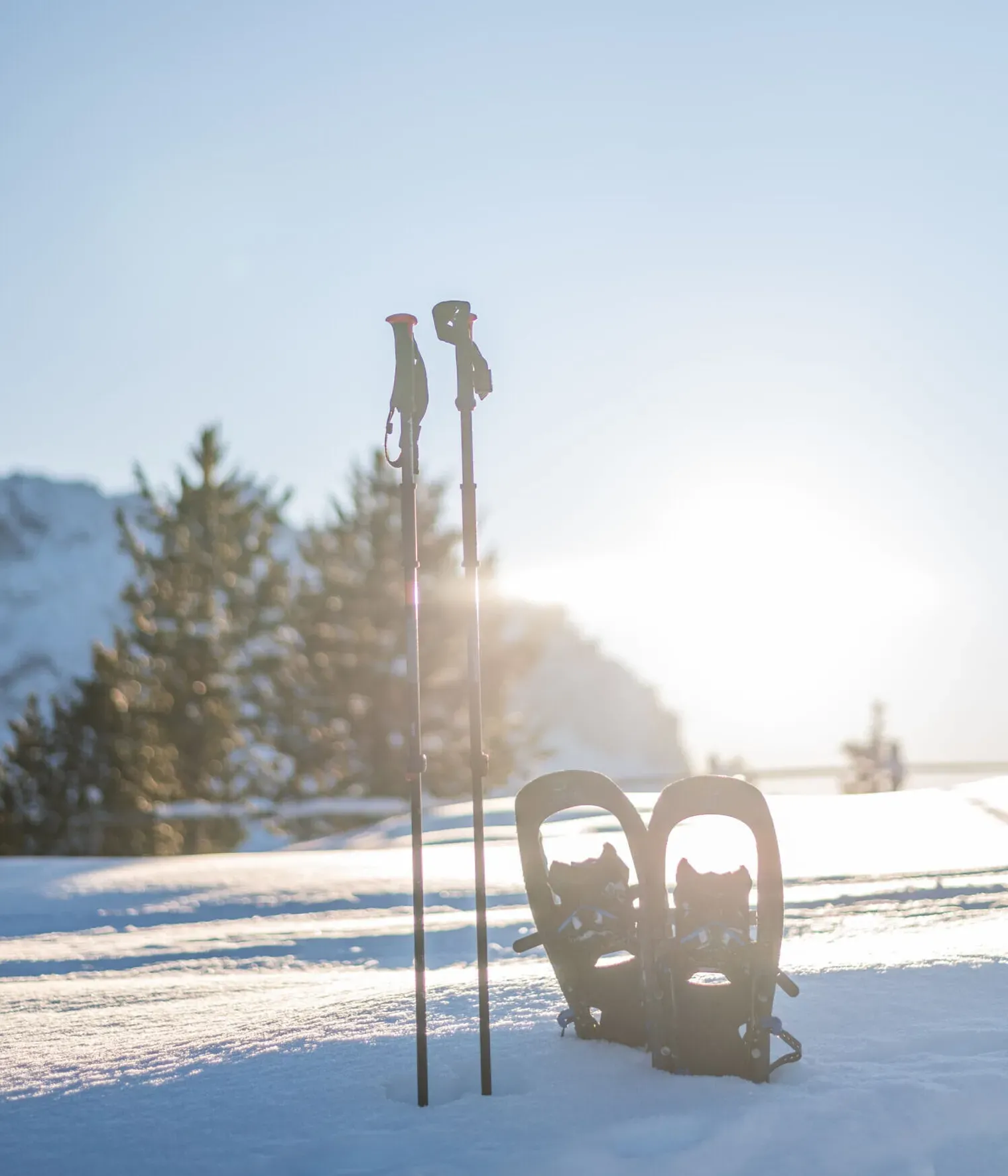 Gianvito Foto Copyright 4