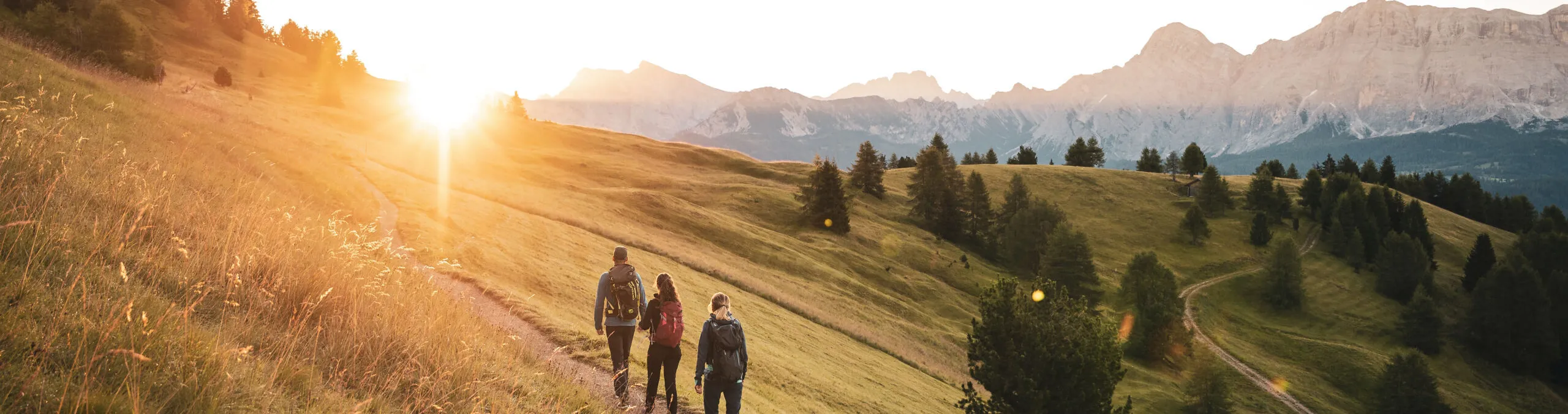 2020 Moling Alex WAN SON Goma High Resolution SO 24