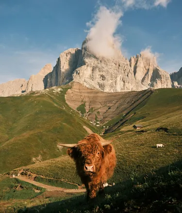 Matteo tanzi H WCW7x6v0k unsplash