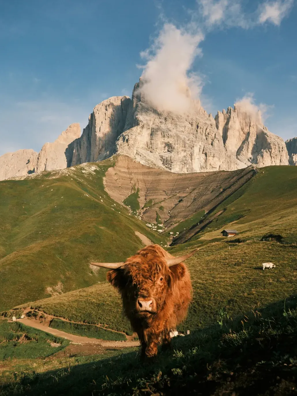 Dolomites WIldlife - unsplash