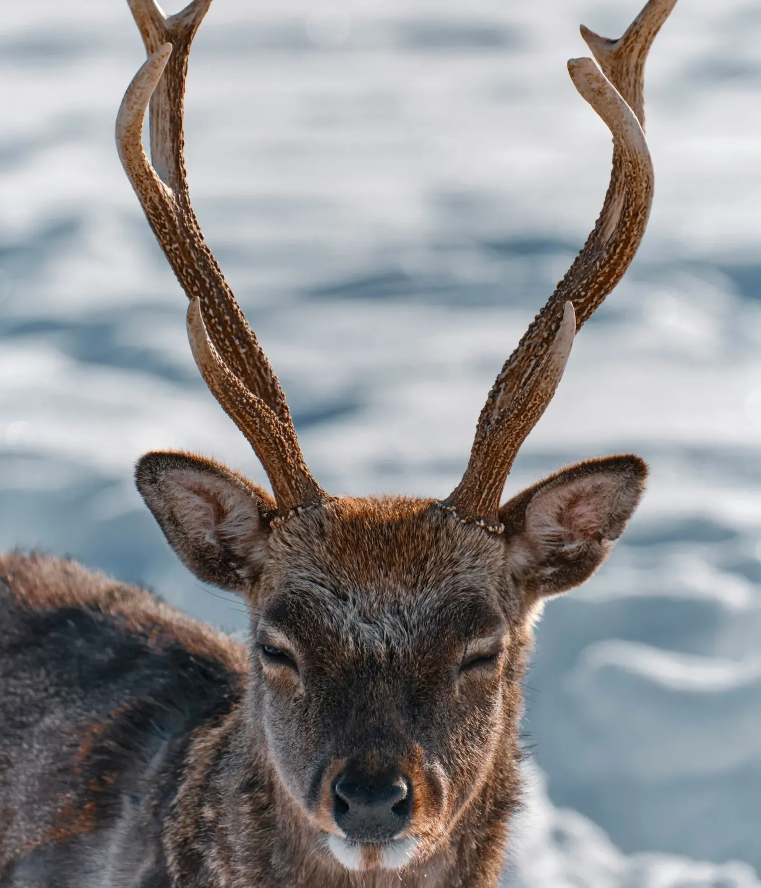 Rolf schmidbauer ZE L Ko C5 Ujk unsplash