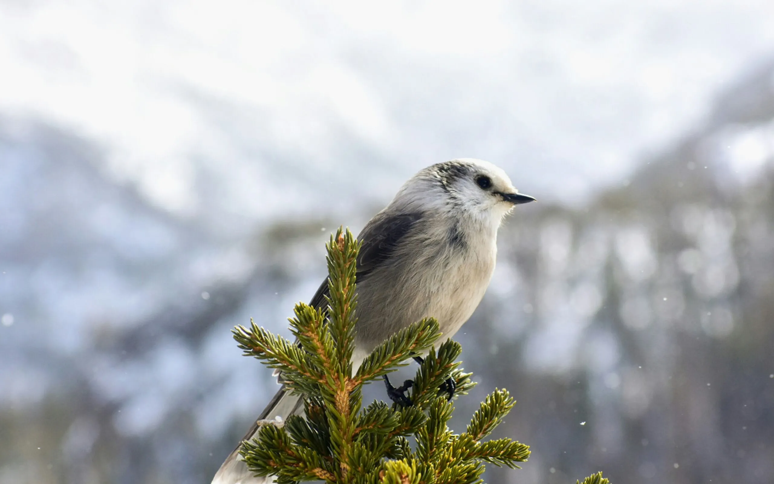 Bianca gonzales Byt2mcac6q Q unsplash