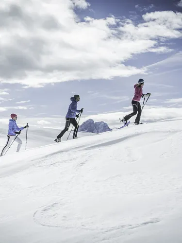 2016 Kottersteger CIAS WI 6