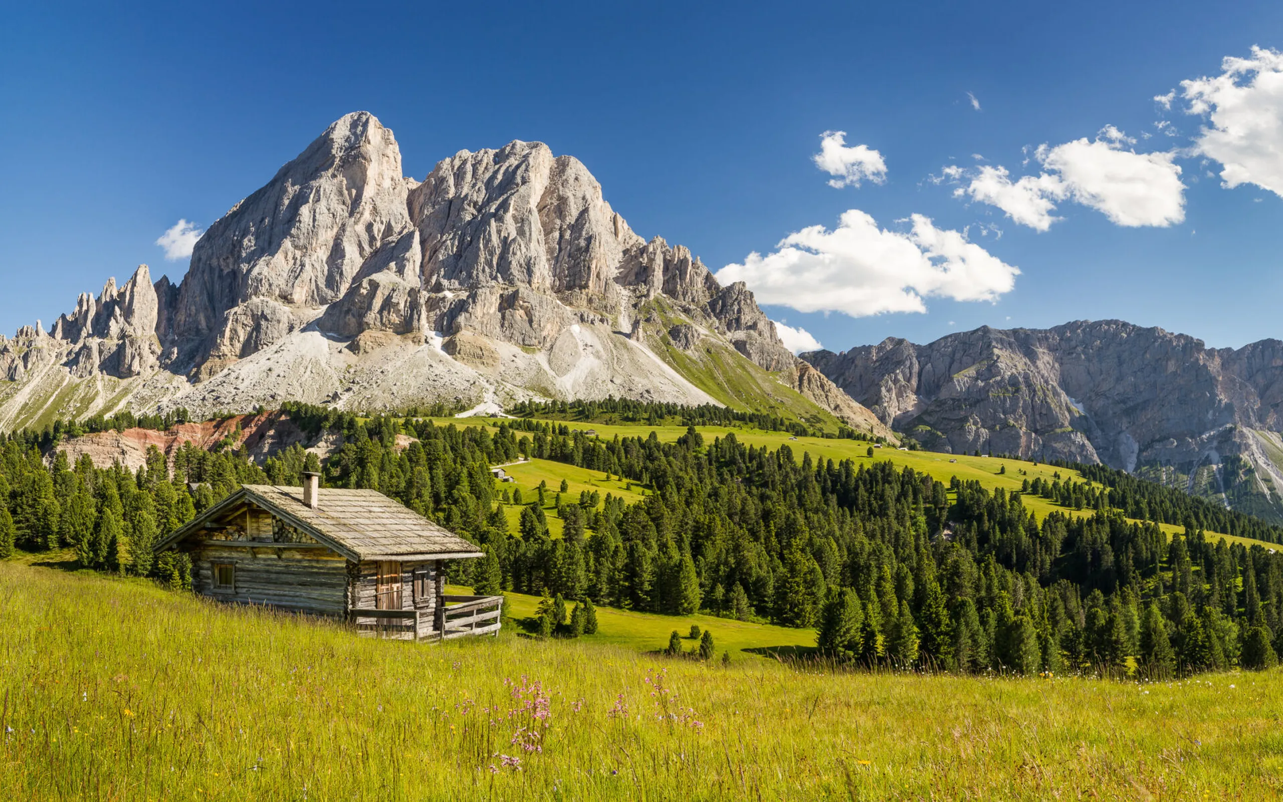 Shutterstock 299399429