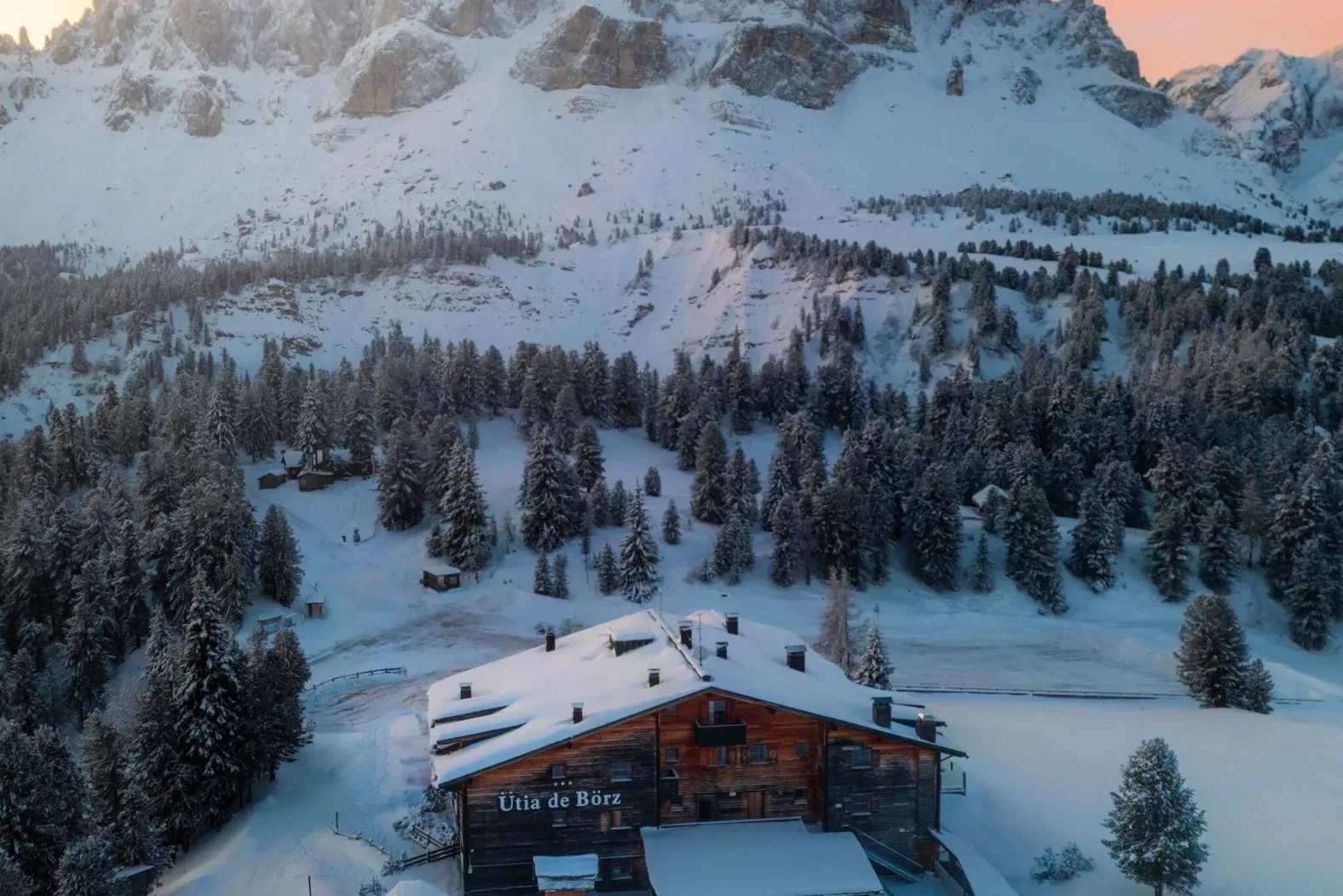 Utia de Borz winter drone
