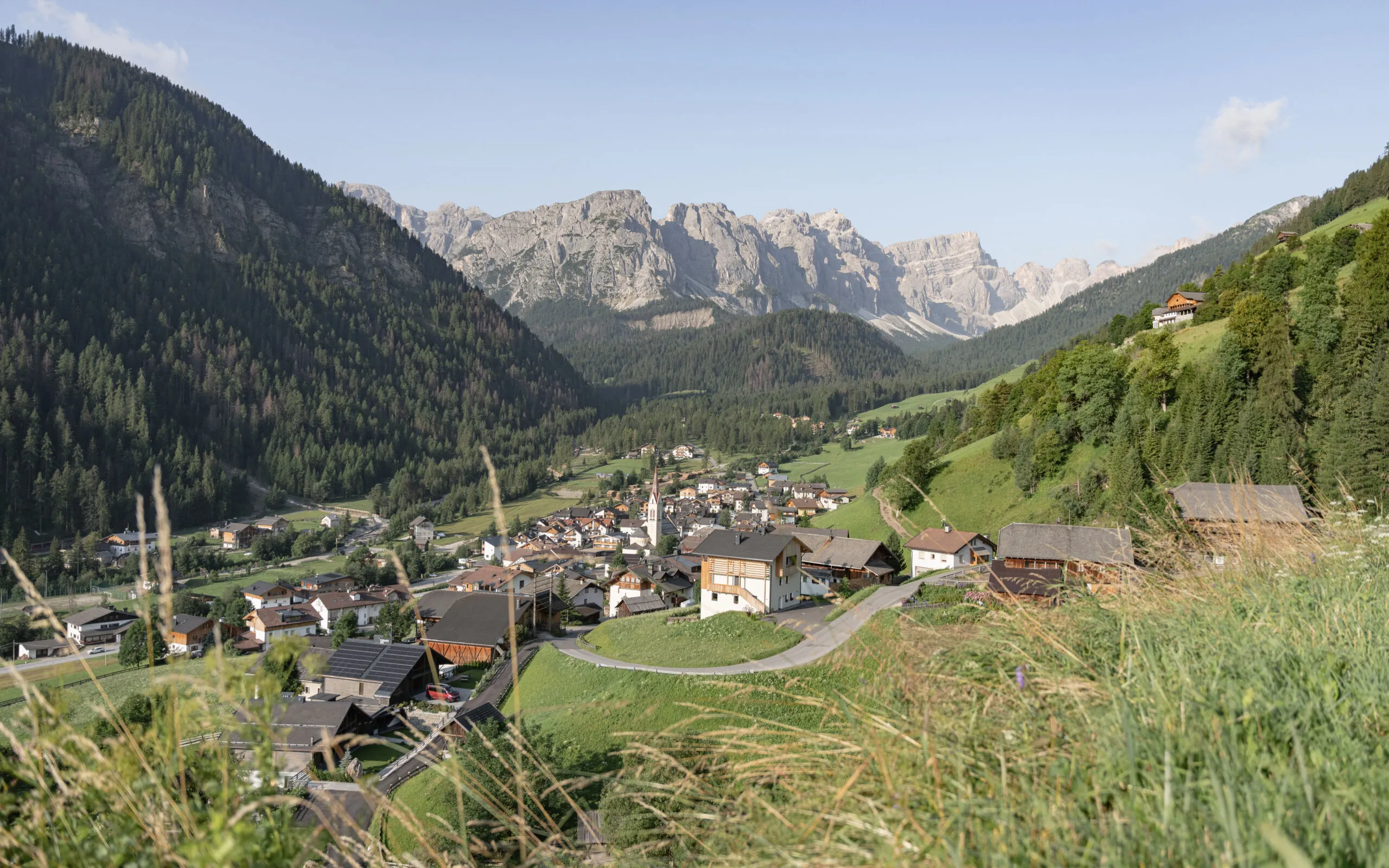 2307 pease nicolas DSC2099 2