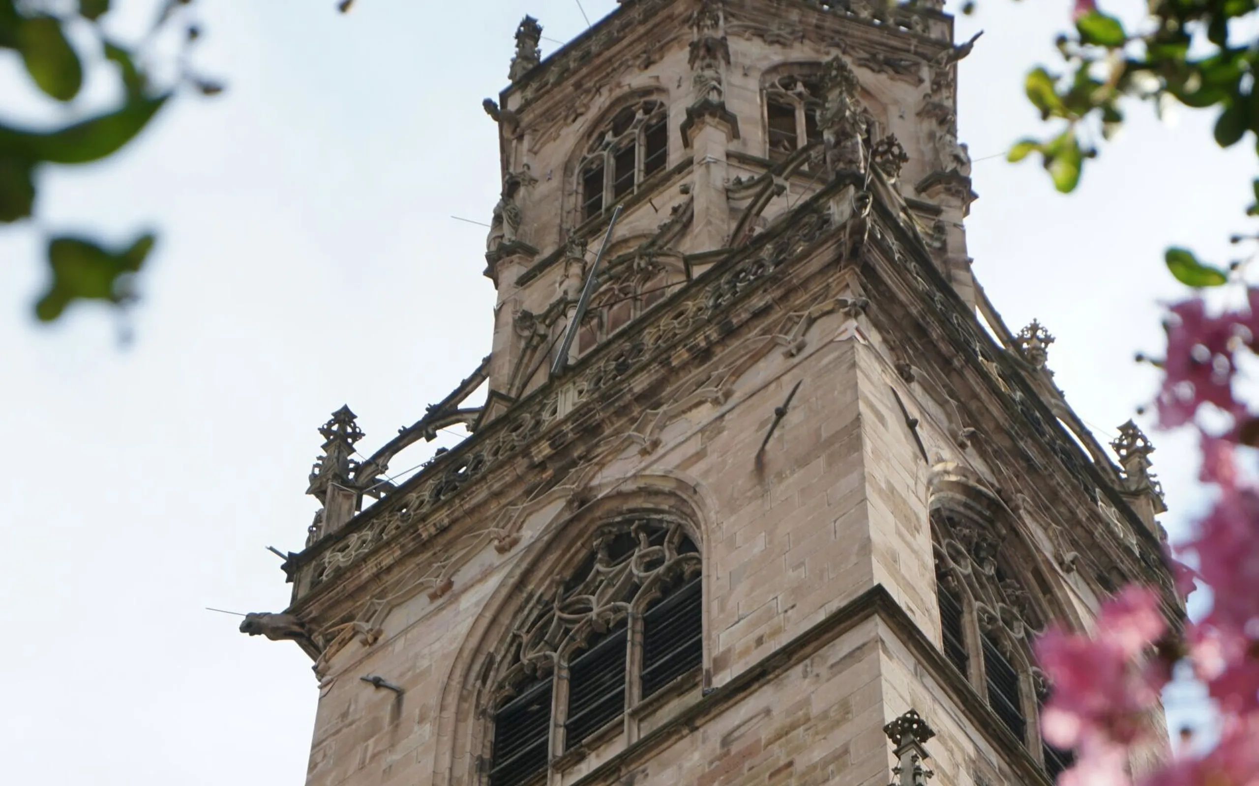 Babak habibi lg TF2cf4 h E unsplash